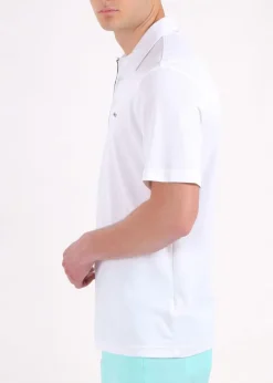 Chervò Anibal 100